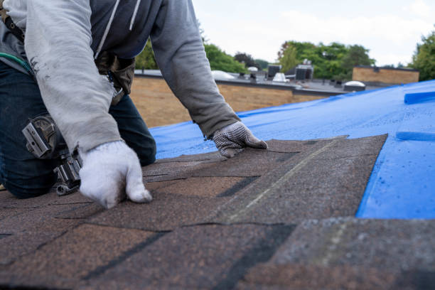 Best Flat Roof Repair Services  in Suquamish, WA